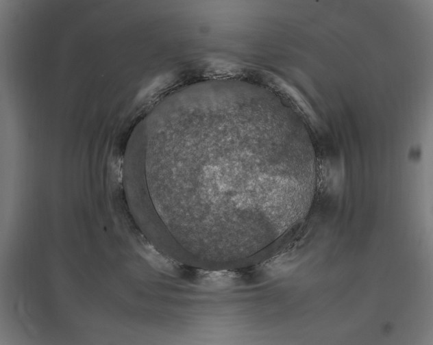 X0000096730621200803041224