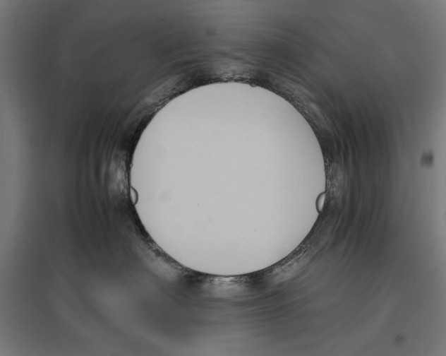 X0000096730622200803041224