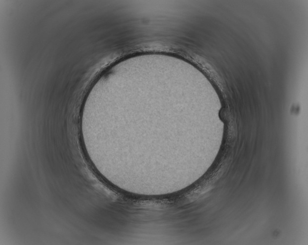 X0000096730625200803041223