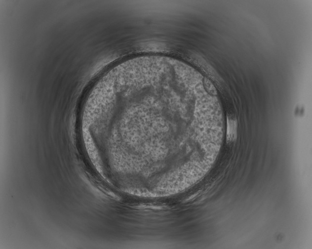 X0000096730627200803041223