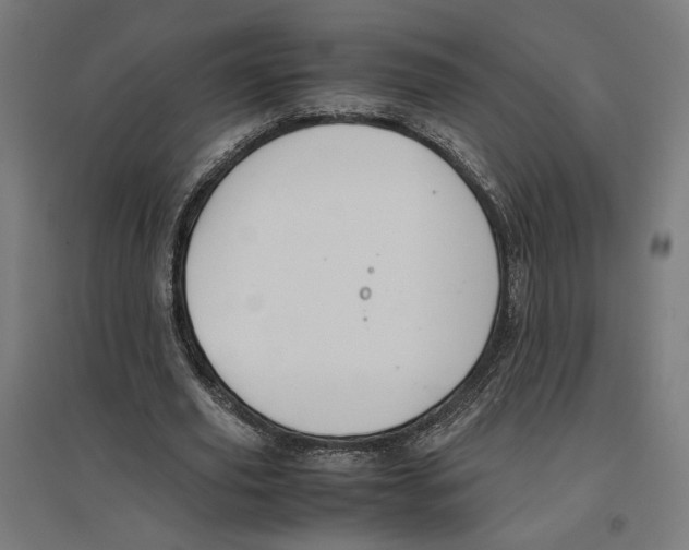 X0000096730629200803041223