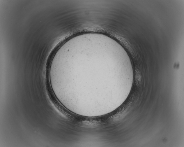 X0000096730630200803041223