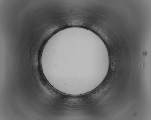 X0000096730631200803041223