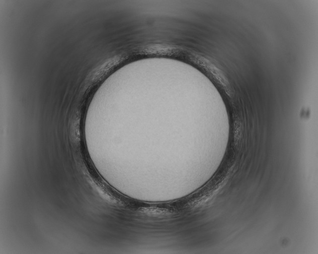 X0000096730633200803041223