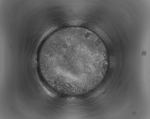 X0000096730634200803041223