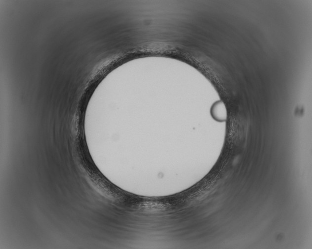 X0000096730636200803041223