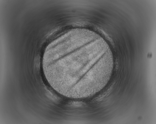 X0000096730637200803041223