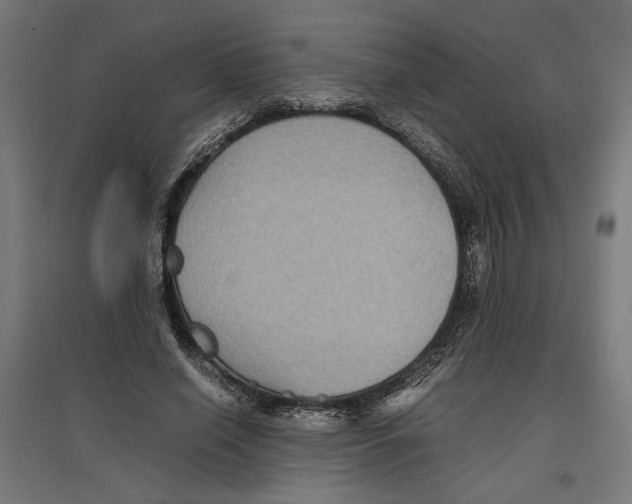 X0000096730638200803041223