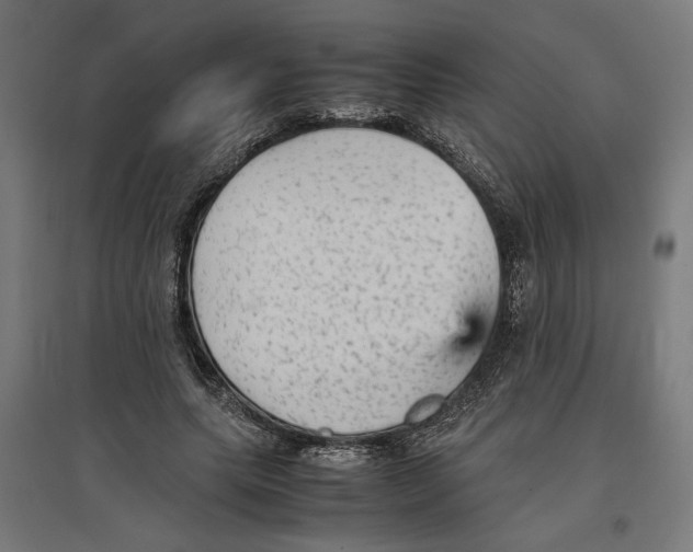 X0000096730639200803041223