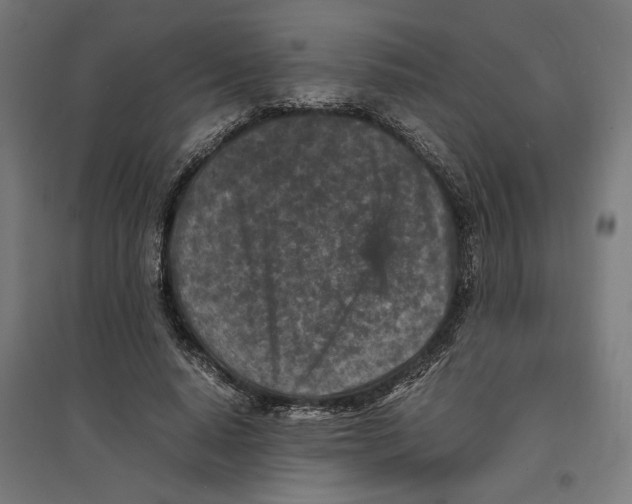 X0000096730640200803041223