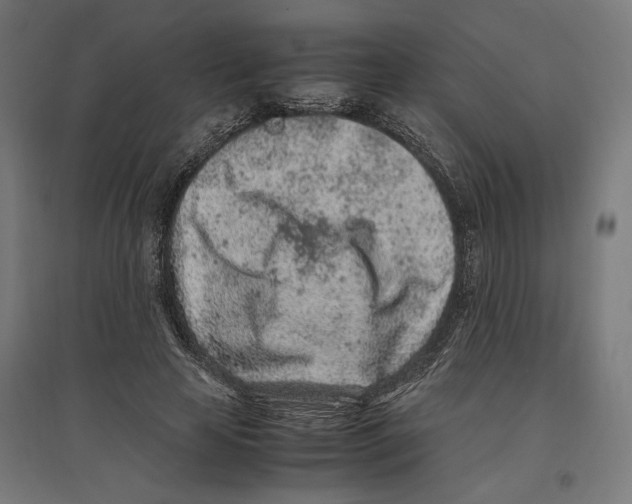 X0000096730641200803041223