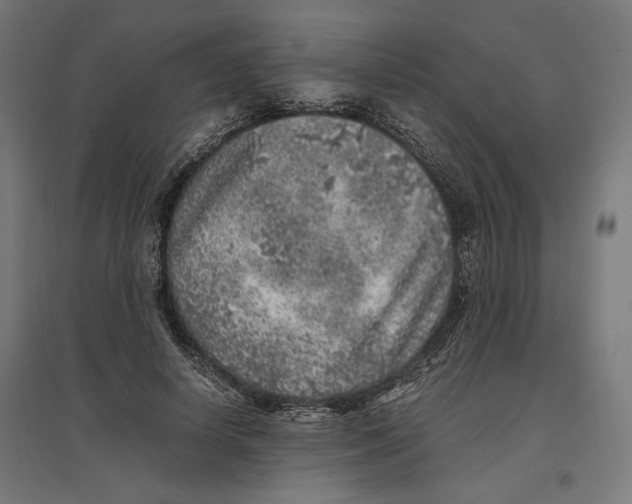 X0000096730642200803041223