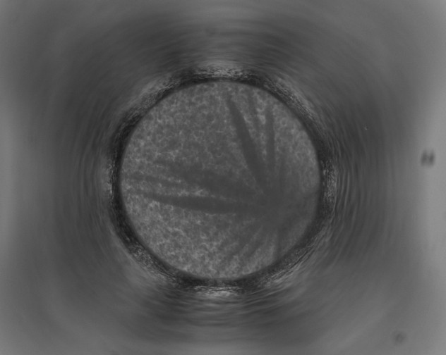X0000096730643200803041223