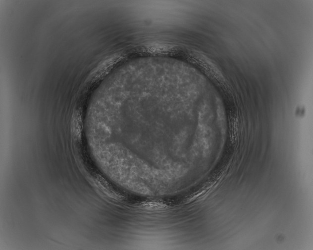 X0000096730644200803041224