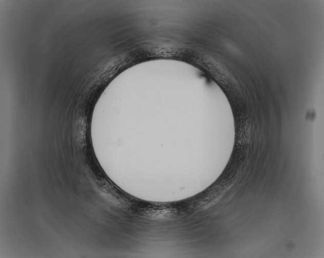X0000096730646200803041224