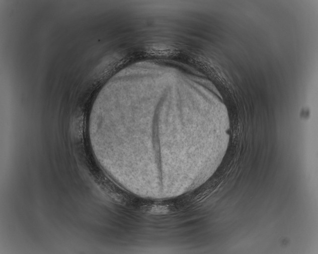 X0000096730647200803041224
