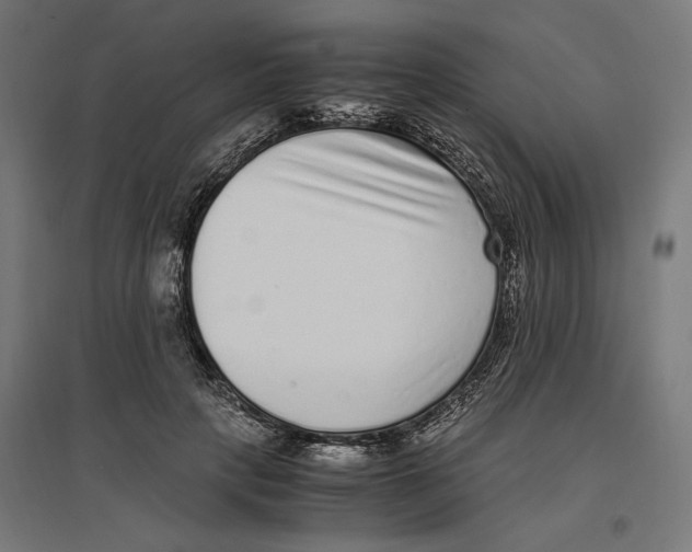 X0000096730649200803041224