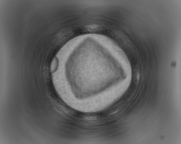 X0000096730653200803041224