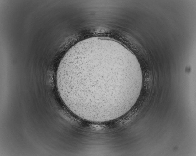 X0000096730654200803041224