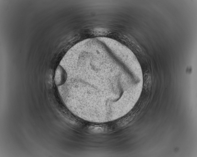 X0000096730655200803041224