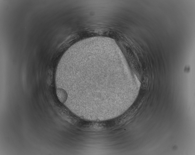 X0000096730656200803041224