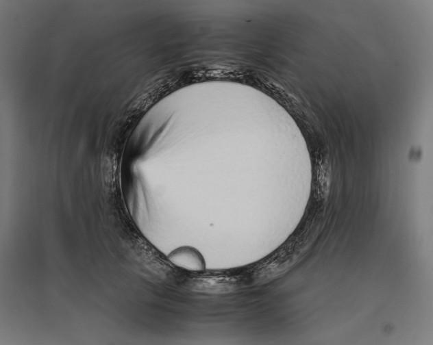 X0000096730657200803041224