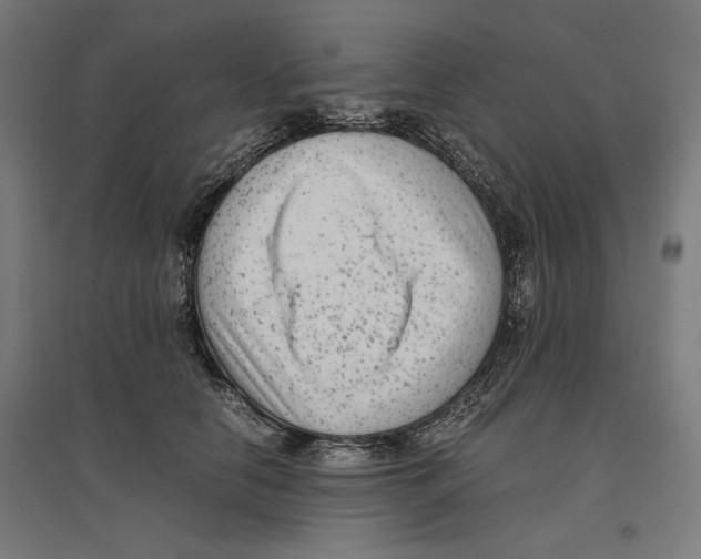X0000096730658200803041224