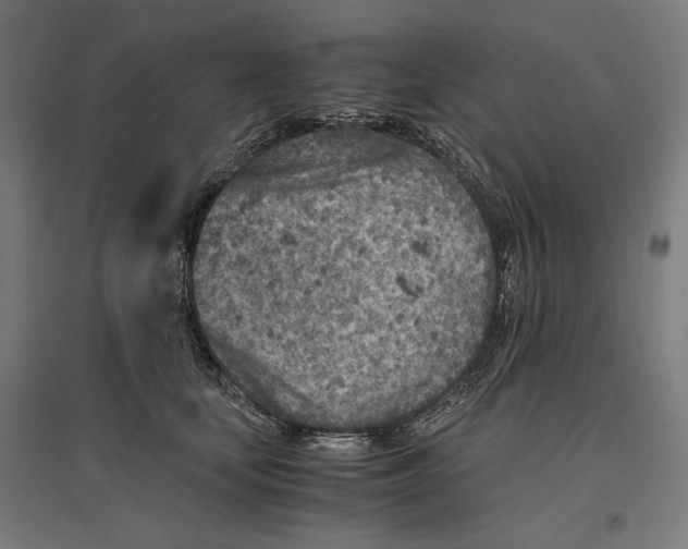 X0000096730659200803041224