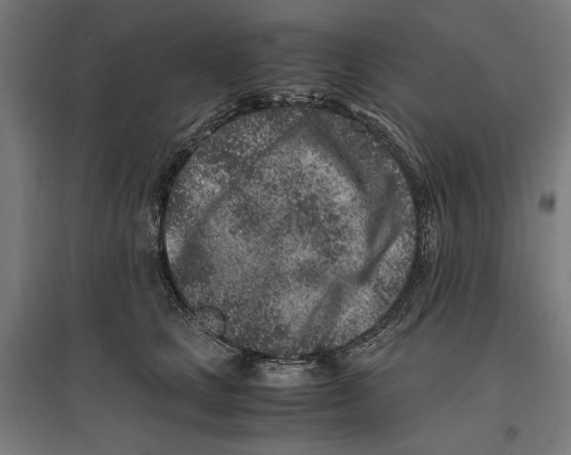 X0000096730661200803041224