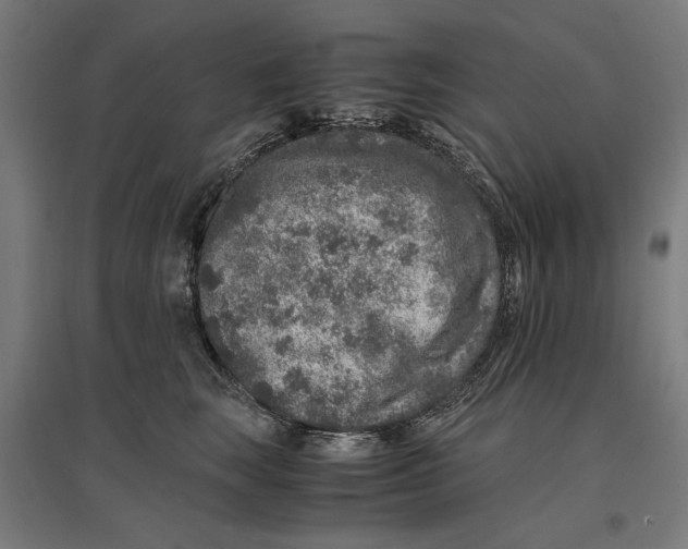 X0000096730663200803041224