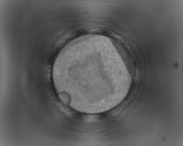 X0000096730664200803041224