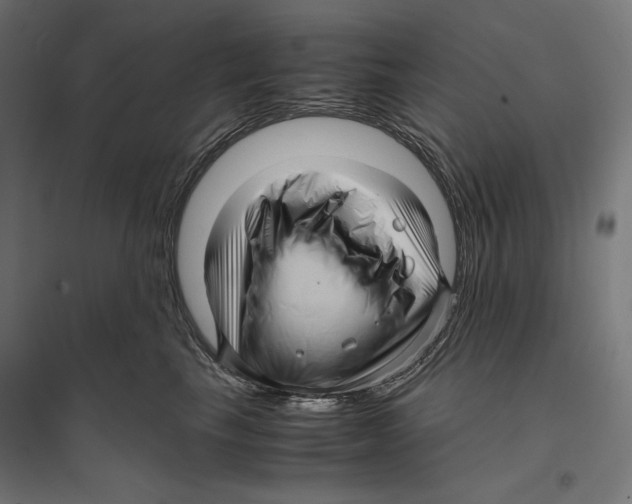 X0000096730665200803041224