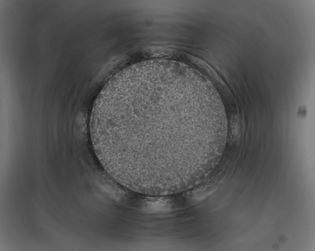 X0000096730667200803041224