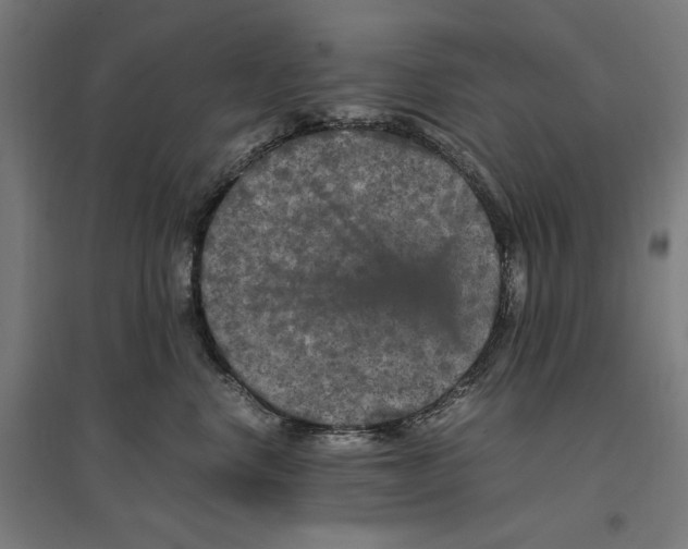 X0000096730668200803041224