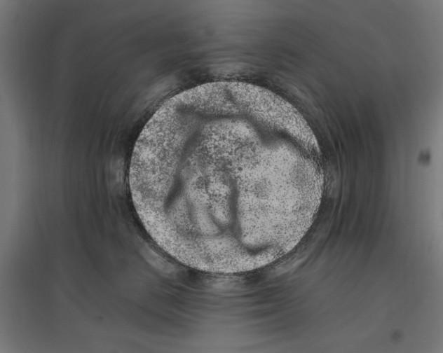 X0000096730670200803041224