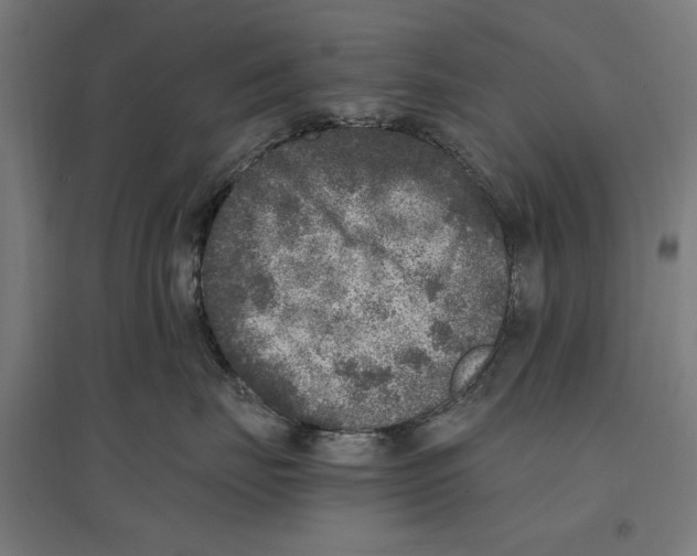 X0000096730671200803041224