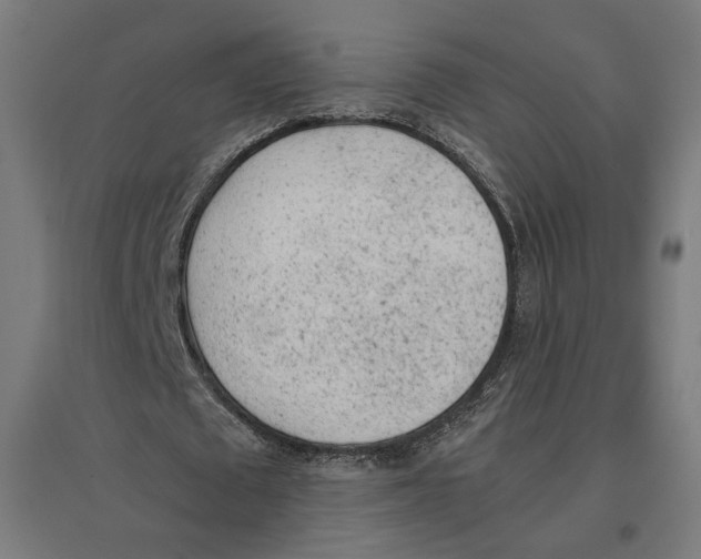 X0000096730673200803041223