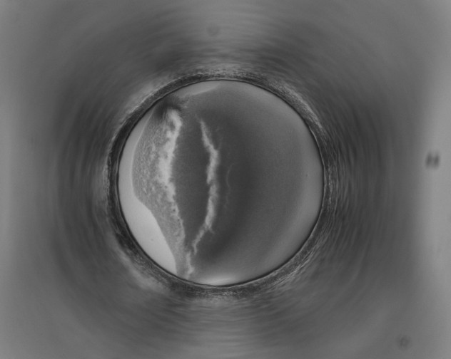X0000096730674200803041223