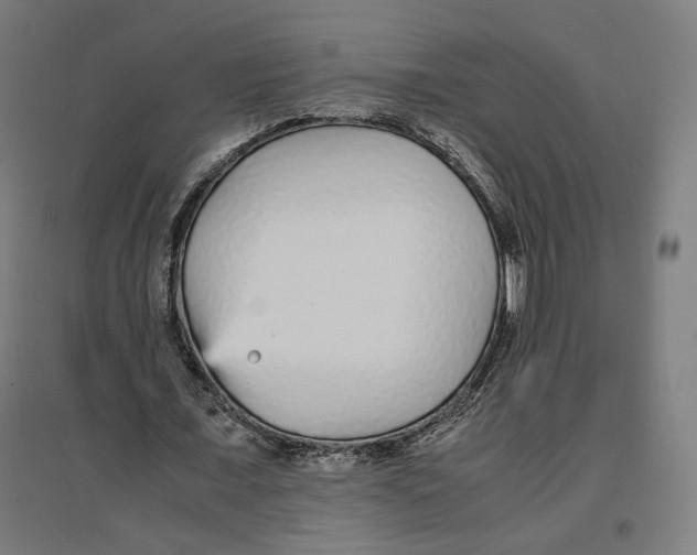 X0000096730675200803041223