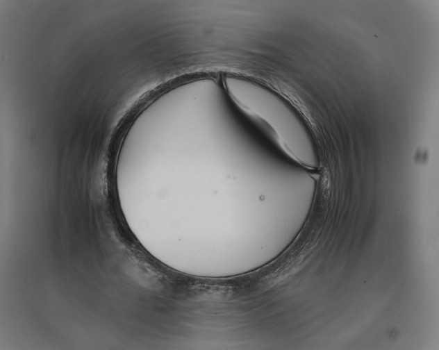 X0000096730676200803041223