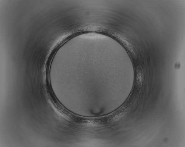 X0000096730678200803041223