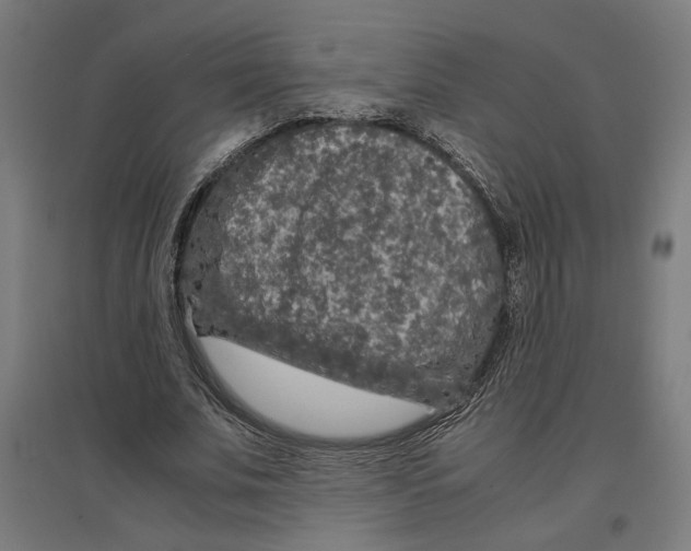 X0000096730679200803041223