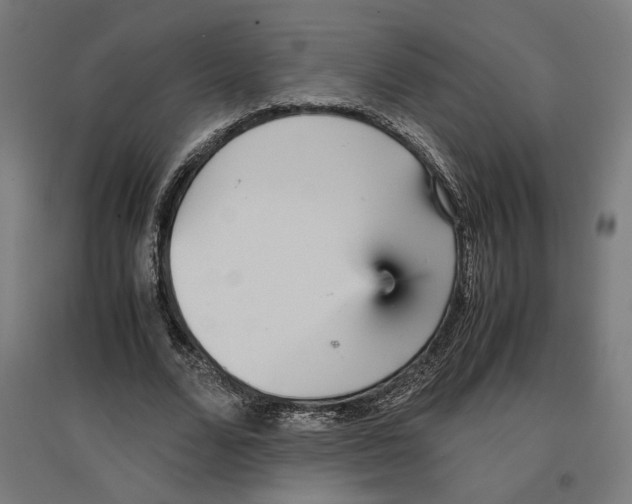 X0000096730680200803041223