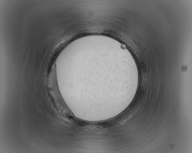 X0000096730681200803041223