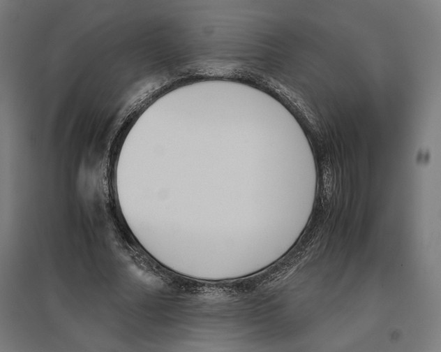 X0000096730682200803041223