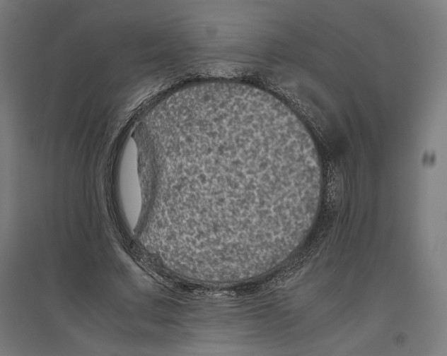 X0000096730683200803041223