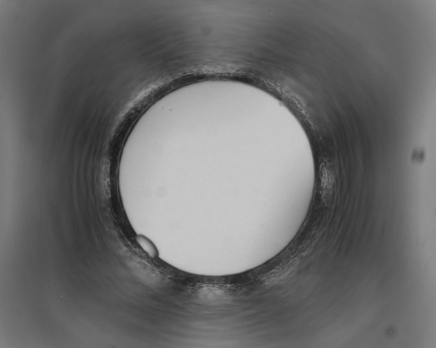X0000096730684200803041223