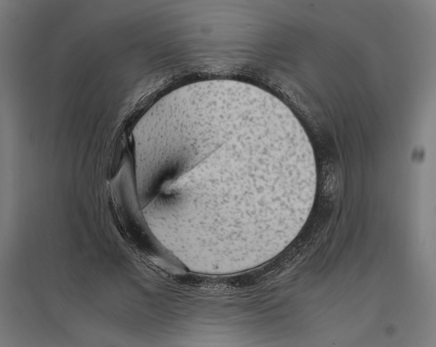 X0000096730685200803041223