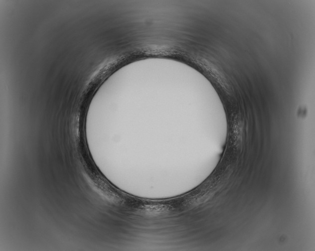 X0000096730686200803041223