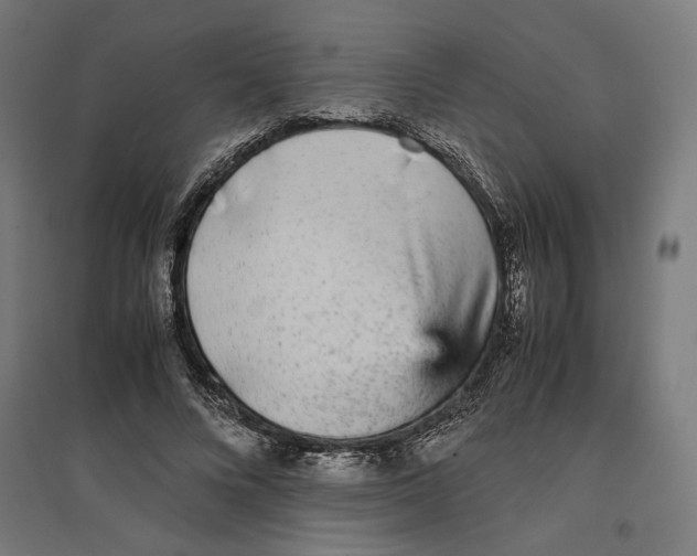 X0000096730688200803041223